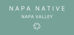 Napa Native logo link white
