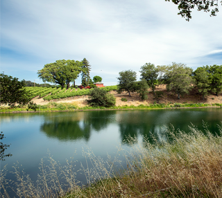 Introduction to Red Post Wines @ Redpostwines.com